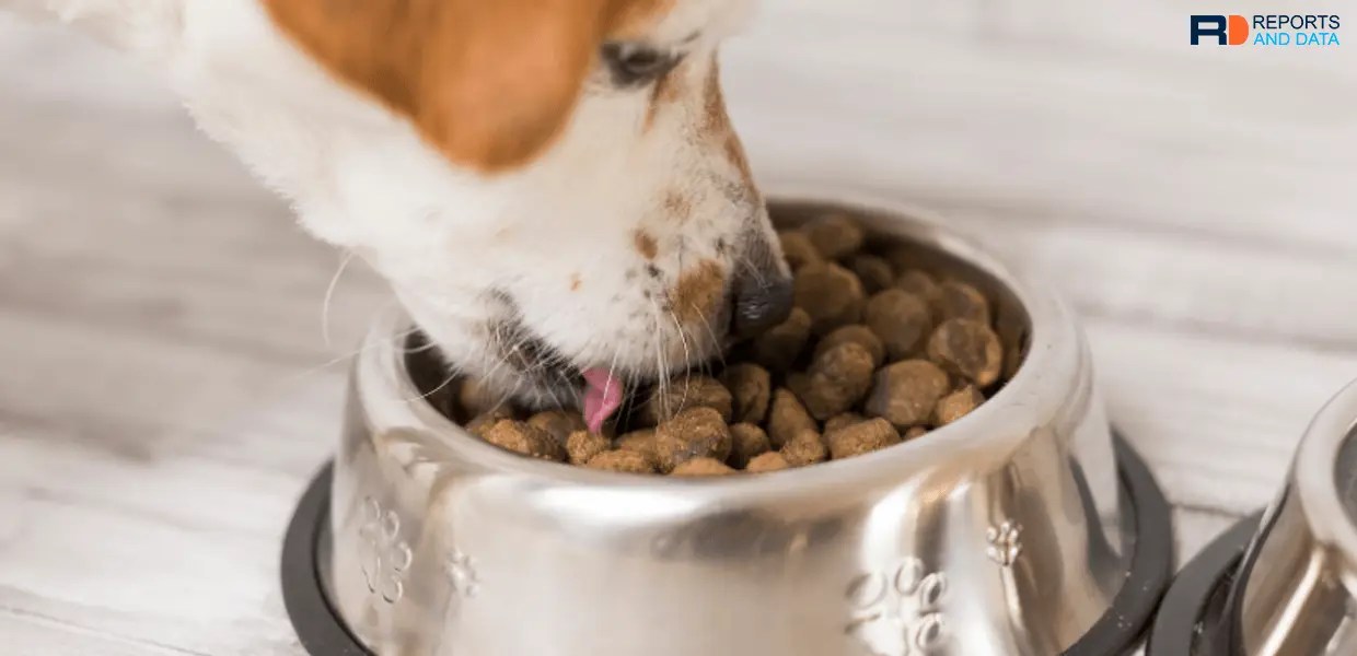 Top 10 Leading Dog Food Market Brands Reports and Data